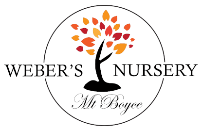 Weber's Nursery Mount Boyce